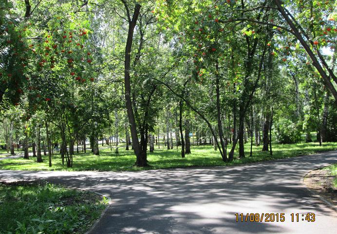 Новосибирск. В Центральном парке