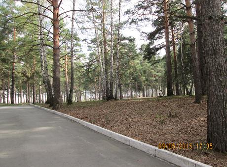 Алеея парка на Софийской
