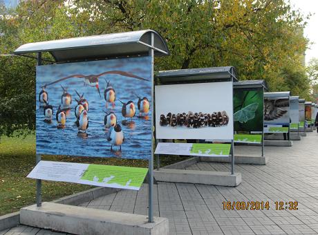 Выставка под открытым небом в театральном сквере Новосибирска